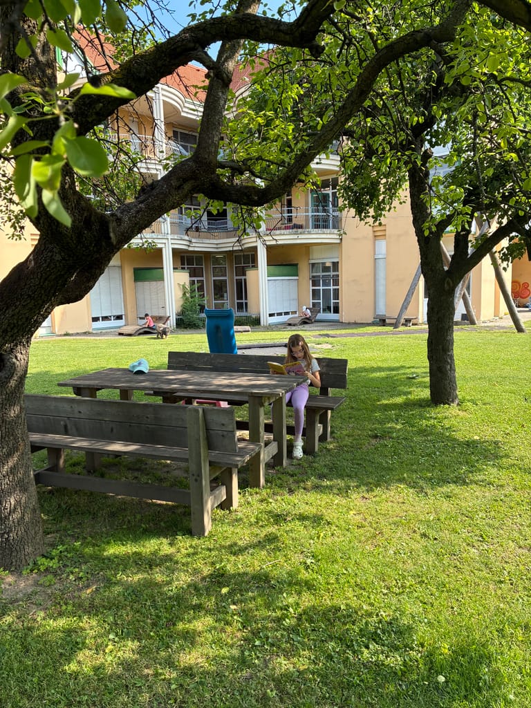 Kind liest auf Holzbank im grünen Park