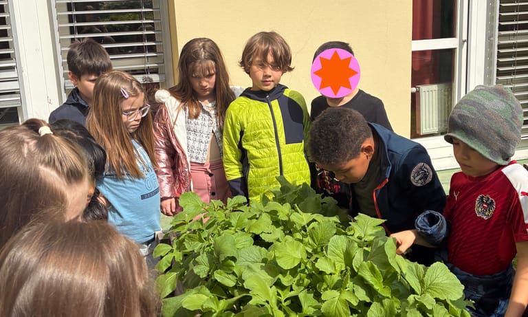 Kinder stehen vor einem Hochbeet, in dem Radieschen reif zum Ernten sind