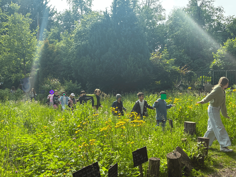 Kinder laufen durch das hohe Gras.