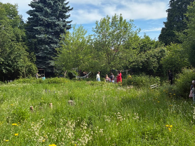 Grüne Wiese mit hohem Gras.