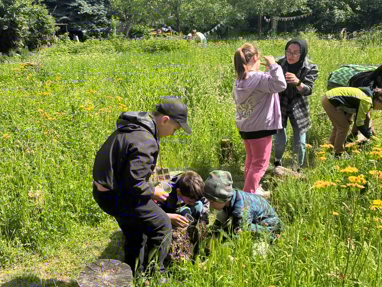 Kinder suchen unter Baumstämmen nach Insekten.