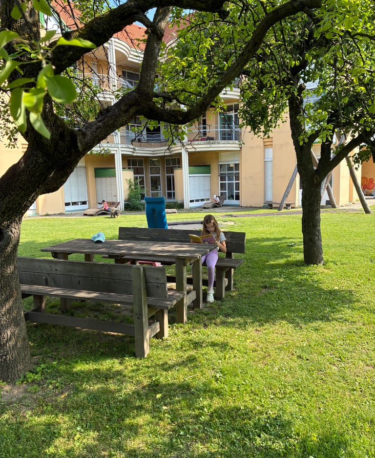 Kind liest auf Holzbank im grünen Park
